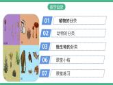 人教版八年级生物上学期  6.1.1《尝试对生物进行分类》课件+素材