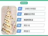 人教版八年级生物上学期  6.1.2《从种到界》课件+素材