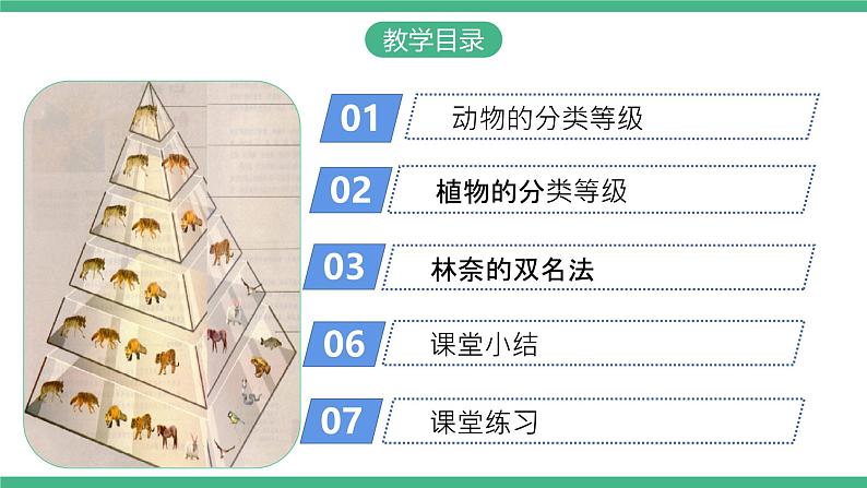 人教版八年级生物上学期  6.1.2《从种到界》课件+素材02