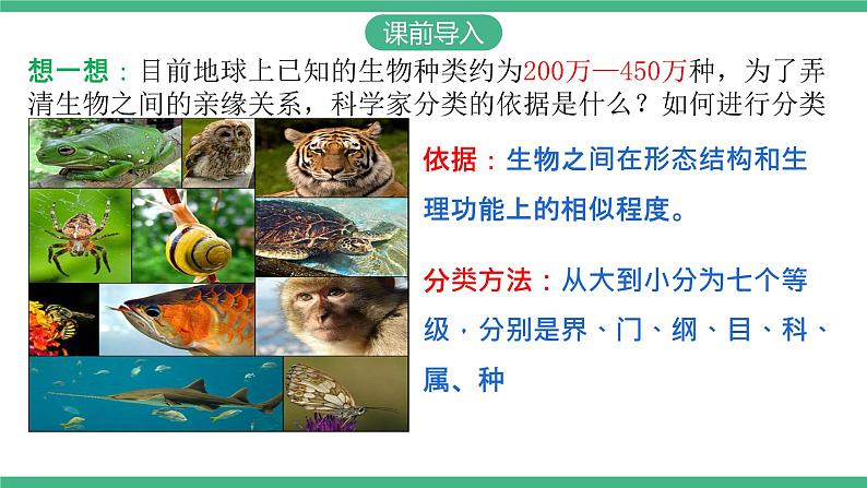 人教版八年级生物上学期  6.1.2《从种到界》课件+素材03