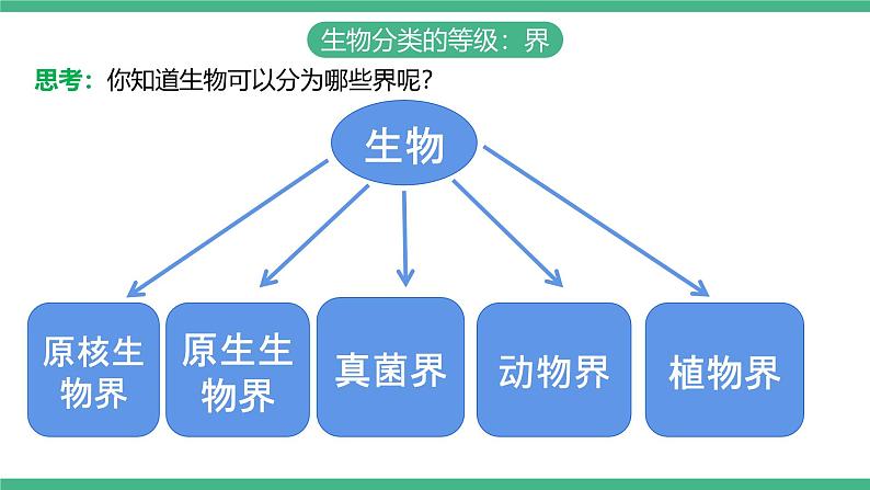 人教版八年级生物上学期  6.1.2《从种到界》课件+素材05