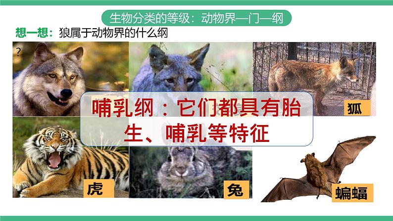 人教版八年级生物上学期  6.1.2《从种到界》课件+素材08