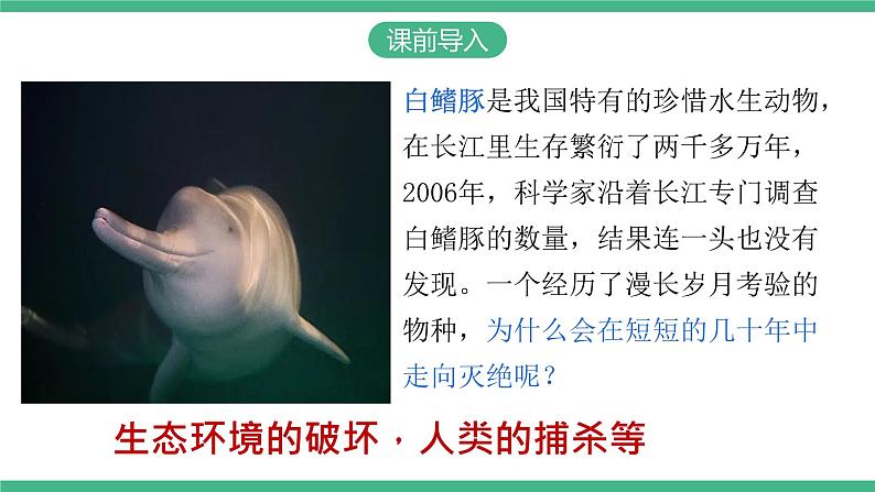 人教版八年级生物上学期  6.3《保护生物的多样性》课件+素材03