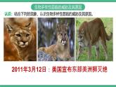 人教版八年级生物上学期  6.3《保护生物的多样性》课件+素材