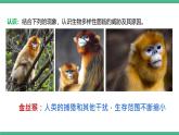 人教版八年级生物上学期  6.3《保护生物的多样性》课件+素材