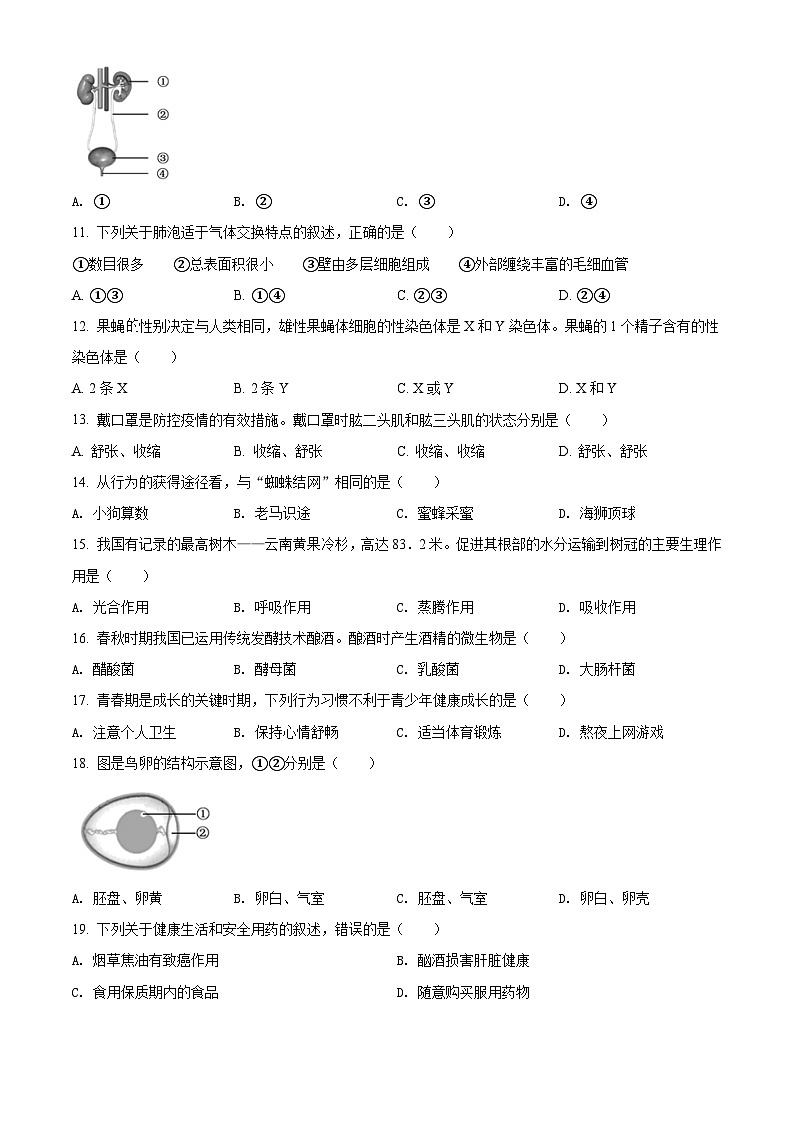 [生物]2022年福建省中考真题生物试卷(原题版+解析版)02