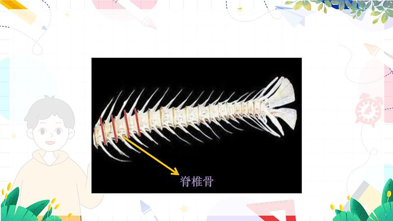人教生物八上第五单元第一章第四节第8页