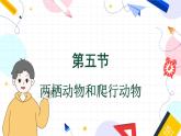 人教版 生物 八上 第5单元 第1章 第5节 两栖动物和爬行动物 PPT课件
