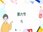 人教版 生物 八上 第5单元 第1章 第6节 鸟 PPT课件