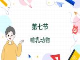 人教版 生物 八上 第5单元 第1章 第7节 哺乳动物 PPT课件