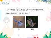 人教版 生物 八上 第5单元 第1章 第7节 哺乳动物 PPT课件