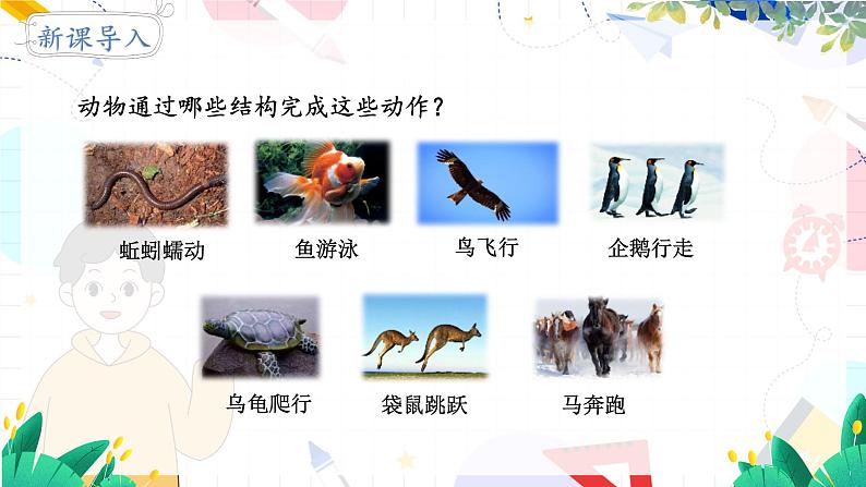 人教版 生物 八上 第5单元 第2章 第1节 动物的运动 PPT课件04