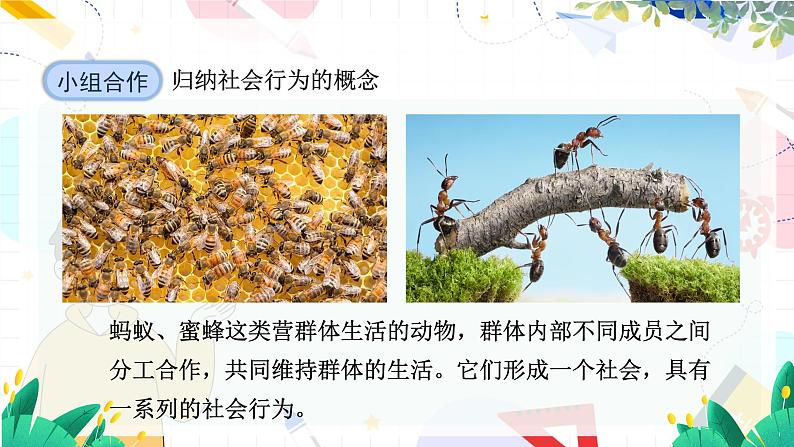 人教 生物八上第五单元第二章第三节第8页