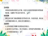 人教版 生物 八上 第5单元 第3章 动物在生物圈中的作用 PPT课件