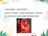 人教版 生物 八上 第5单元 第3章 动物在生物圈中的作用 PPT课件