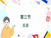 人教版 生物 八上 第5单元 第4章 第3节 真菌 PPT课件
