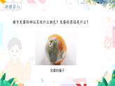人教版 生物 八上 第5单元 第4章 第3节 真菌 PPT课件