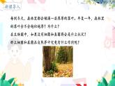 人教版 生物 八上 第5单元 第4章 第4节 细菌和真菌在自然界中的作用 PPT课件