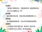 人教版 生物 八上 第5单元 第5章 病毒 PPT课件