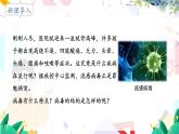 人教版 生物 八上 第5单元 第5章 病毒 PPT课件