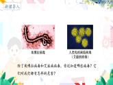 人教版 生物 八上 第5单元 第5章 病毒 PPT课件