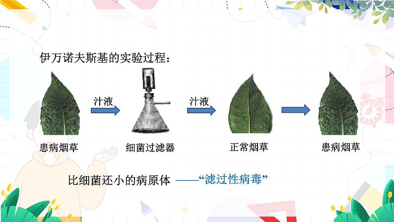 人教版 生物 八上 第5单元 第5章 病毒 PPT课件07