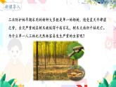 人教版 生物 八上 第6单元 第2章 认识生物的多样性 PPT课件