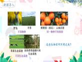 人教版 生物 八上 第6单元 第2章 认识生物的多样性 PPT课件