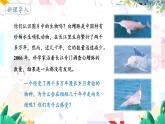 人教版 生物 八上 第6单元 第3章 保护生物的多样性 PPT课件