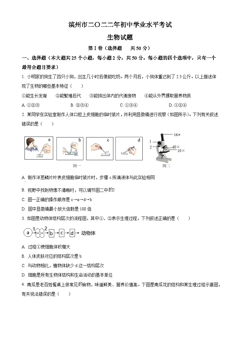 [生物]2022年山东省滨州市中考真题生物试卷(原题版+解析版)01