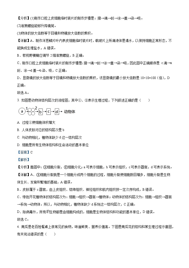 [生物]2022年山东省滨州市中考真题生物试卷(原题版+解析版)02