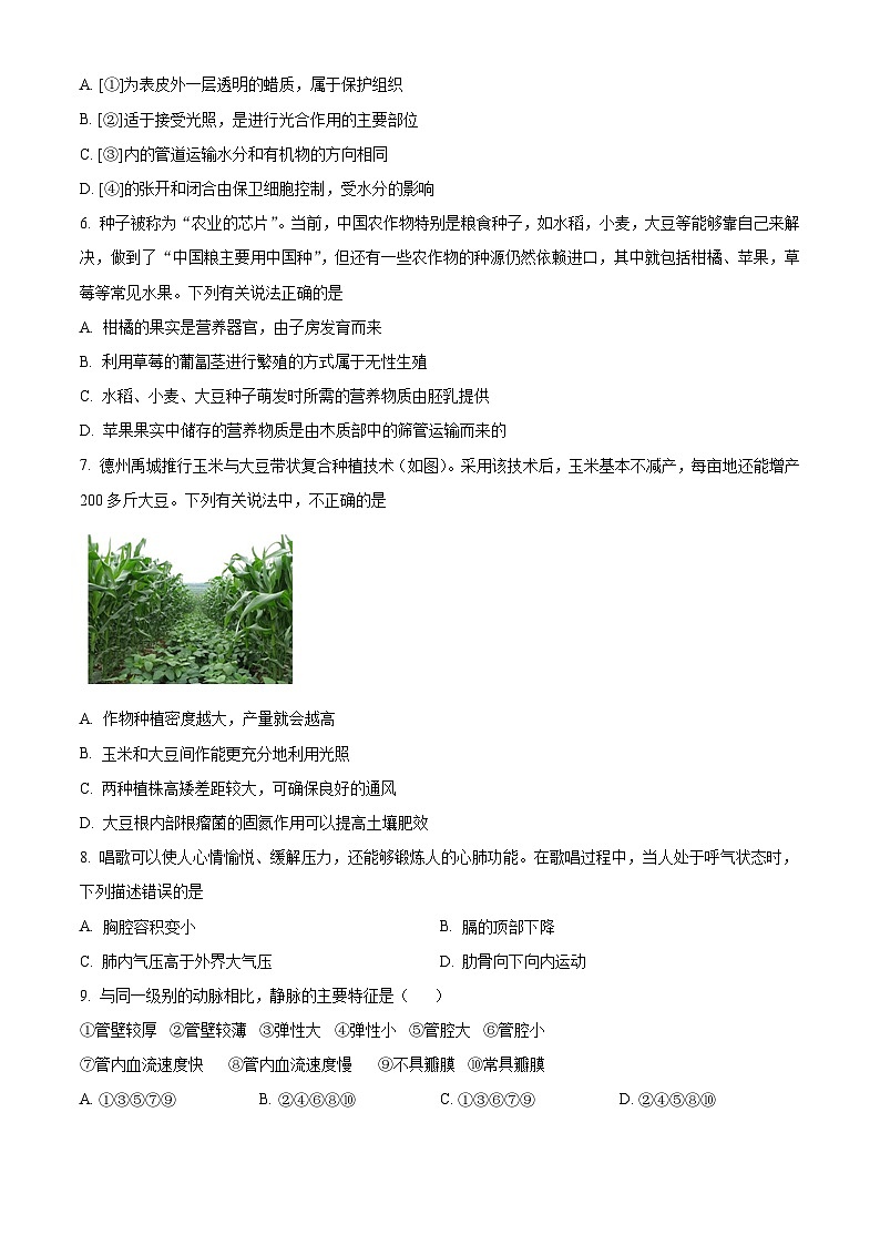 [生物]2022年山东省德州市中考真题生物试卷(原题版+解析版)02