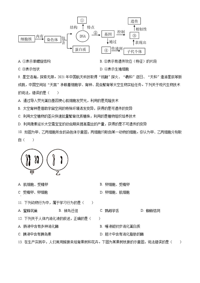[生物]2022年山东省济宁市中考真题试卷(原题版+解析版)03
