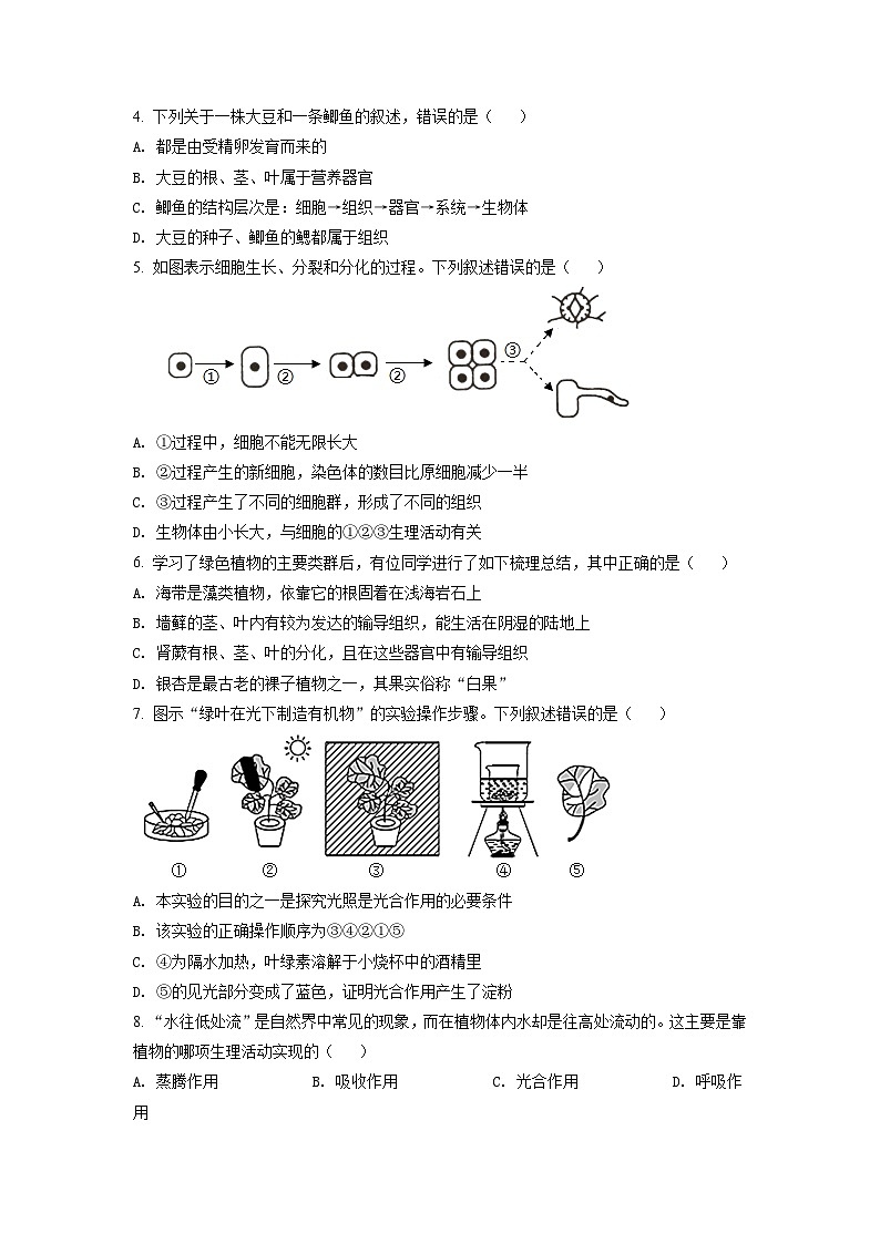 [生物]2022年山东省临沂市中考真题生物试卷(原题版+解析版)02
