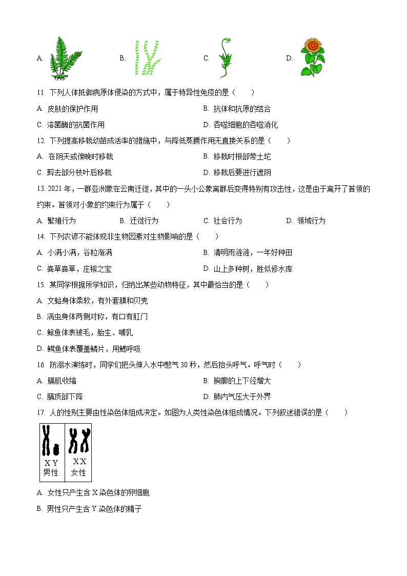 [生物]2022年山东省日照市中考真题生物试卷(原题版+解析版)02