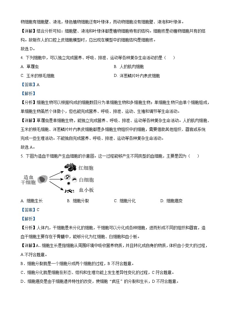 [生物]2022年山东省威海市中考真题生物试卷(原题版+解析版)02