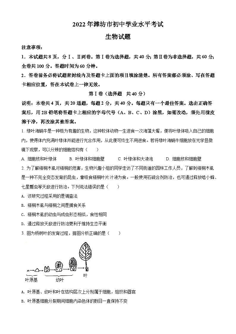 [生物]2022年山东省潍坊市中考真题生物试卷(原题版+解析版)01