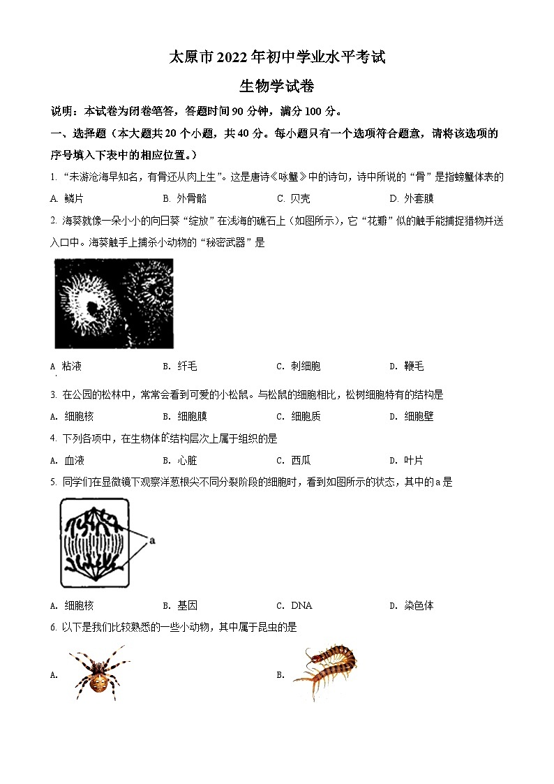 [生物]2022年山西省太原市中考真题试卷(原题版+解析版)01