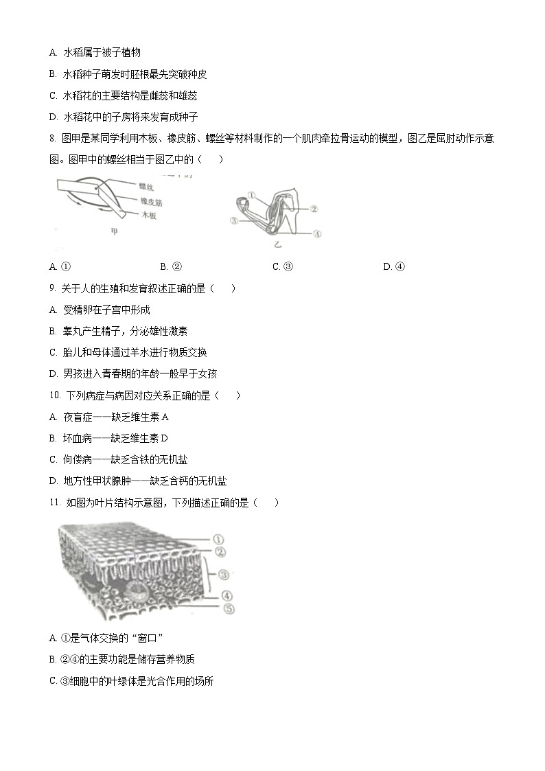 [生物]2023年吉林省中考真题生物试卷(原题版+解析版)02