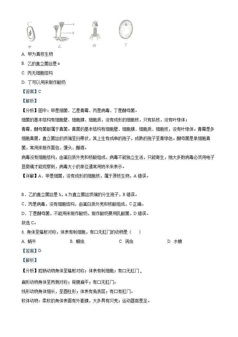 [生物]2023年吉林省中考真题生物试卷(原题版+解析版)03