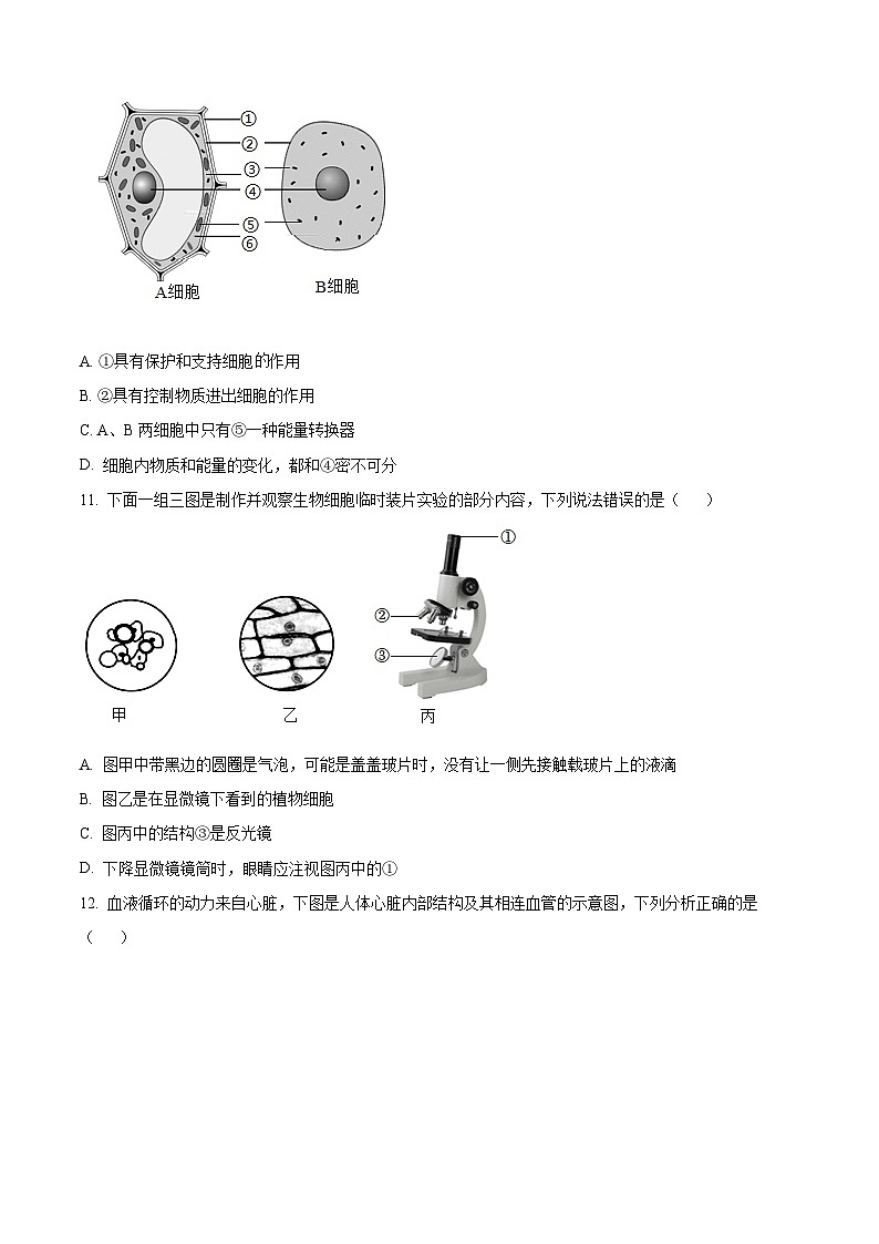 [生物]2023年青海省西宁市城区2023年中考真题生物试卷(原题版+解析版)03