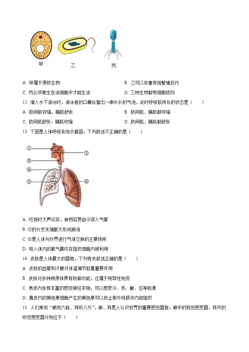 [生物]2023年山东省德州市中考真题生物试题试卷(原题版+解析版)03