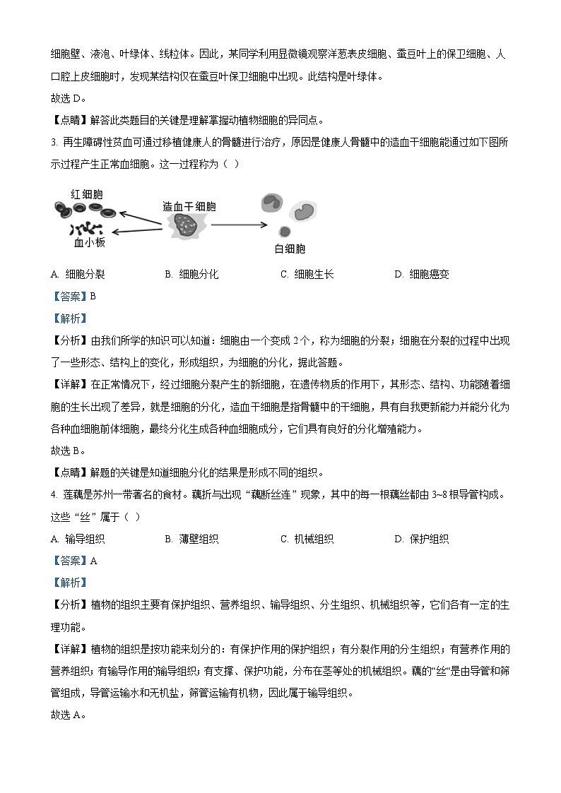 [生物]江苏省苏州市2021年中考真题生物试题试卷(原题版+解析版)02