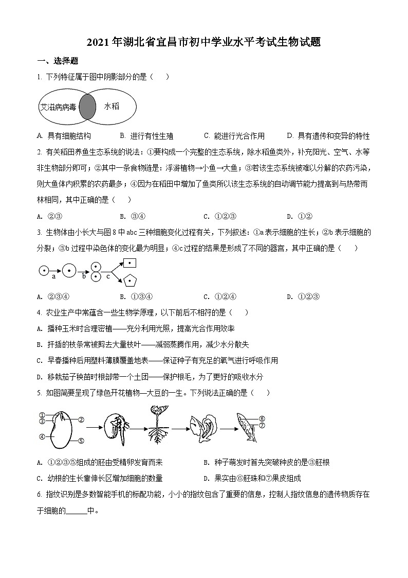 [生物]湖北省宜昌市2021年中考真题生物试题试卷(原题版+解析版)01
