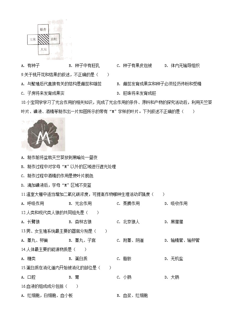 [生物]云南省2020年中考真题生物试题试卷(原题版+解析版)02