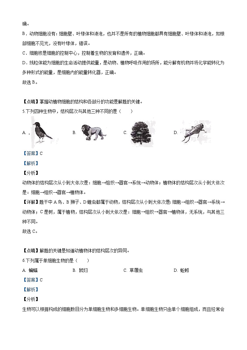 [生物]云南省2020年中考真题生物试题试卷(原题版+解析版)03