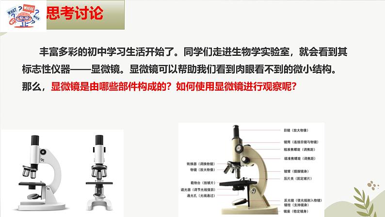 【核心素养】冀少版（2024）生物七年级上册 1.1.1 显微镜的使用 同步课件+同步练习05