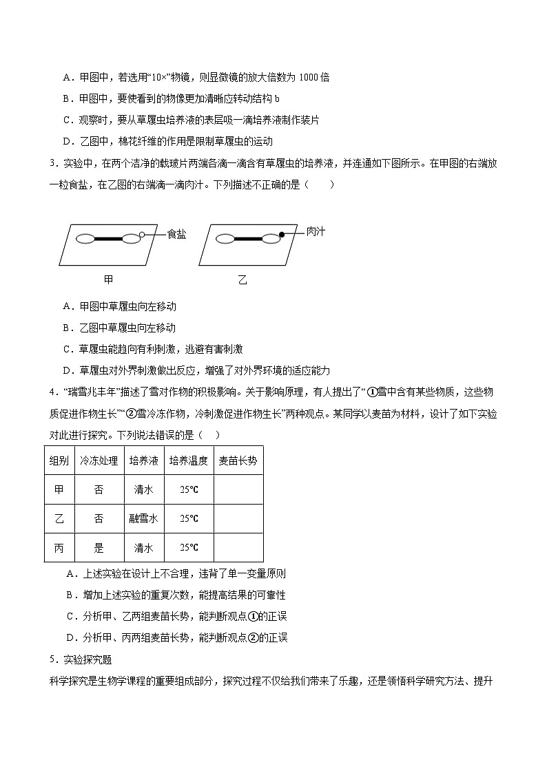 【核心素养】冀少版（2024）生物七年级上册 1.1.2 细胞的形态 同步课件+同步练习03