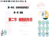 【核心素养】冀少版（2024）生物七年级上册 1.1.2 细胞的形态 同步课件+同步练习