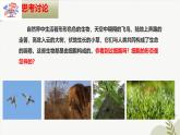 【核心素养】冀少版（2024）生物七年级上册 1.1.2 细胞的形态 同步课件+同步练习